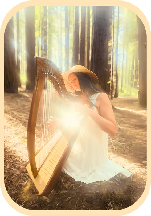 white harp rounded rectangle